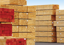 1 x 4 Romanian White Wood